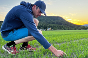 Gjødsl bedre med KI og data fra NM