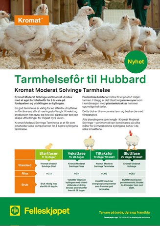 Tarmhelse for Hubbard