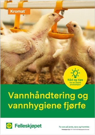 Vannhåndtering og vannhygiene fjørfe
