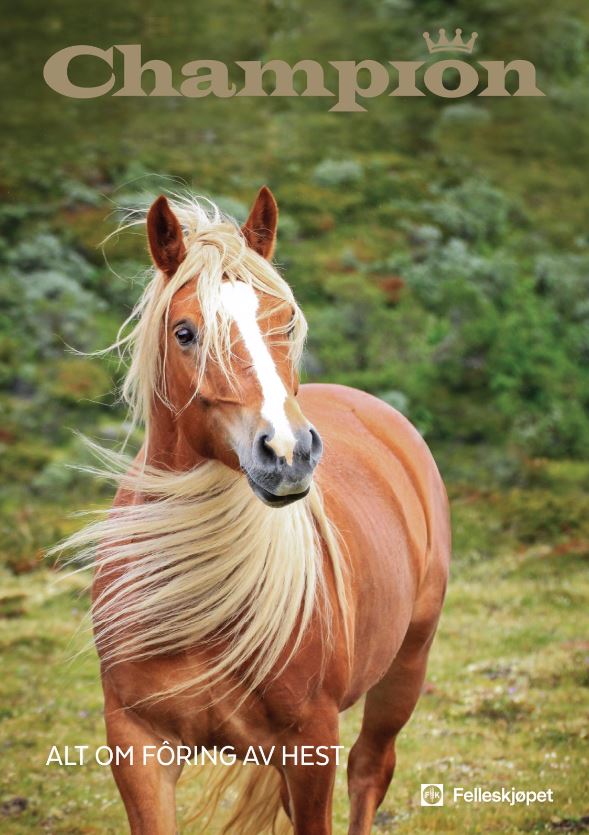 Forside Champion brosjyre.JPG