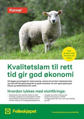 Kvalitetslam til rett tid gir god økonomi
