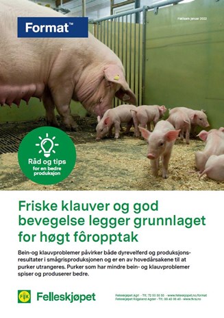 Friske klauver og god bevegelse legger grunnlaget for høgt fôropptak