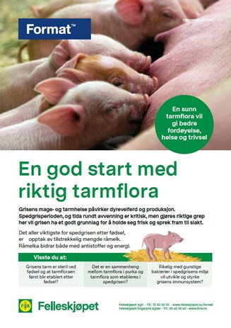 En god start med riktig tarmflora