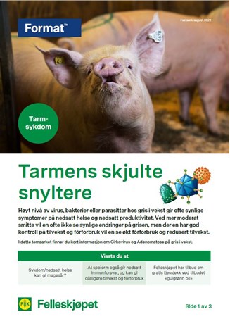 Tarmens skjulte snyltere