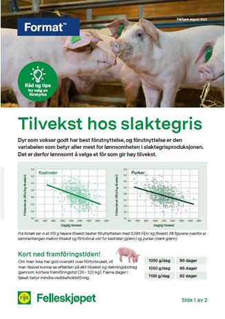 Tilvekst hos slaktegris