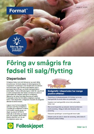 Fôring av smågris fra fødsel til salg/flytting