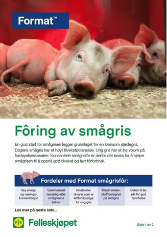 Fôring smågris