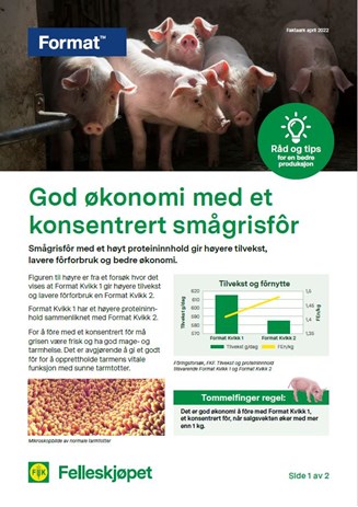 Konsentrert smågrisfôr