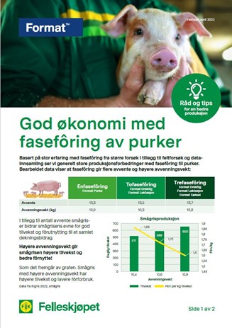 God økonomi med fasefôring av purker