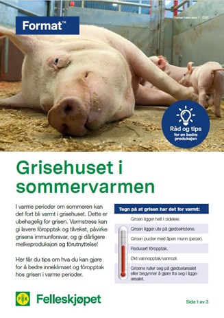 Grisehuset i sommervarmen