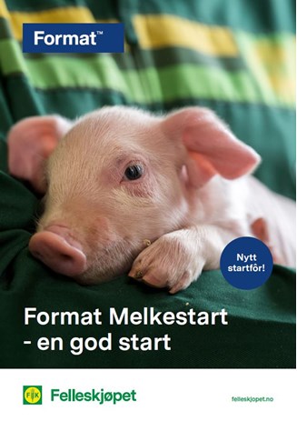 Format melkestart