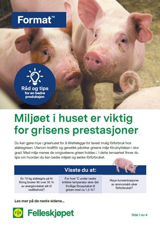 Miljøet i huset er viktig for grisene prestasjoner