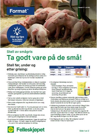 Ta godt vare på de små