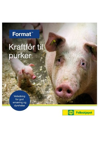 Kraftfôr til purker