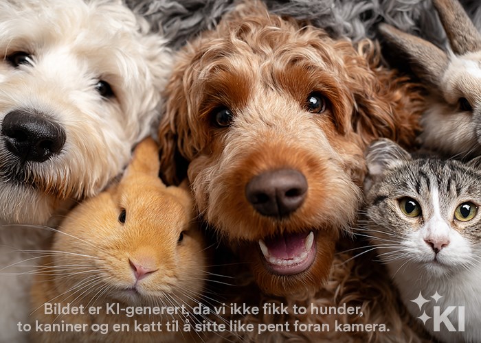 Felleskjøpet er for alle