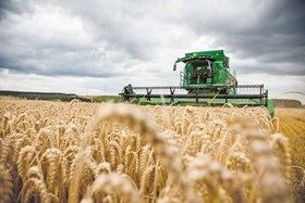 Lønnsom kornproduksjon - fra dyrking til levering