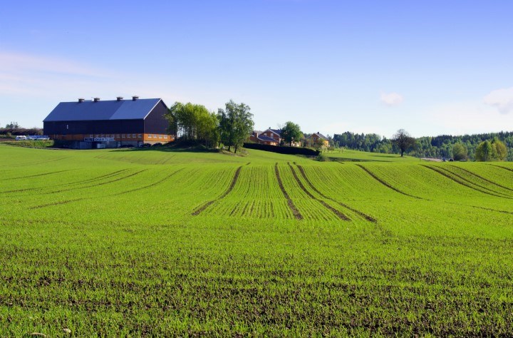 Fangvekster til bruk i ulike kulturer