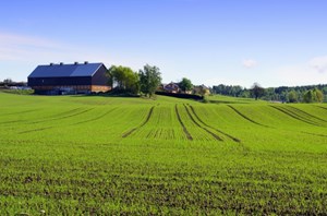 Fangvekster til bruk i ulike kulturer