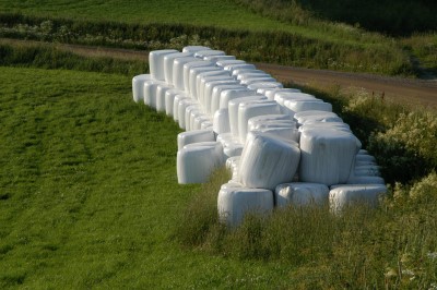 Rundballer Rundballer stablet på enga
