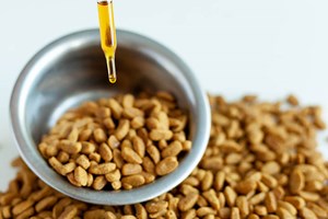 Derfor bør du gi omega-3 til hunden og katten din