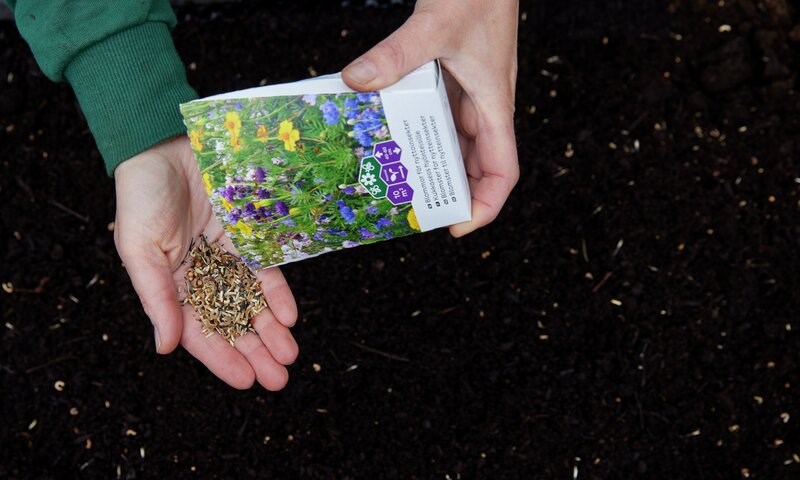 Velg jord med kompost som er helt eller delvis torvfri, da gjør du miljøet og plantene dine en tjeneste.