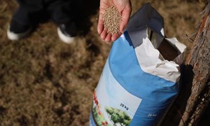 Lær deg å gjødsle riktig i hagen