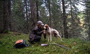 Slik fôrer du jakthunden