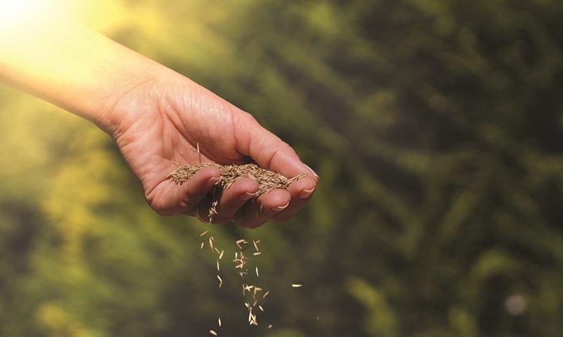 Avbildet: En hånd med jord