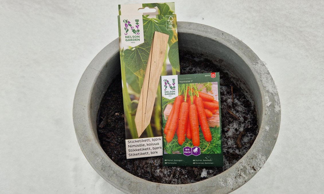 Potte i snø medfrøpakke og plantepinner i.