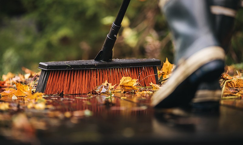 Slik gjør du hagen klar for høst