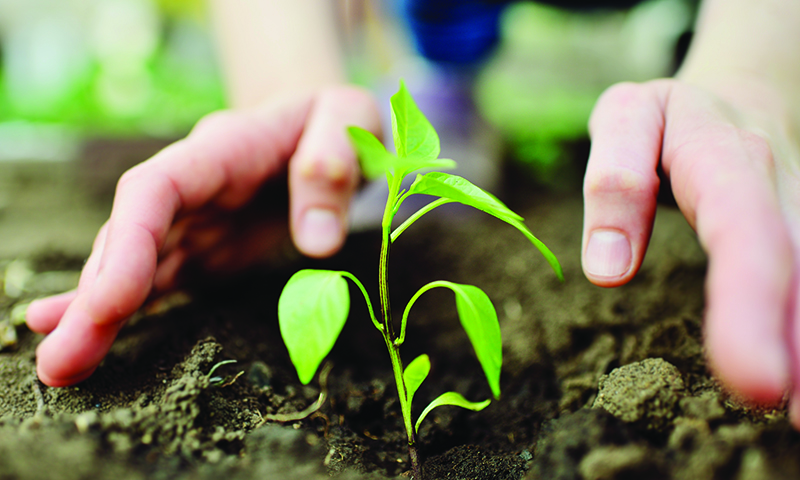 Slik velger du riktig jord