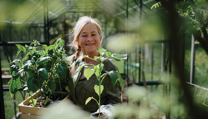 Slik kommer du i gang med drivhus