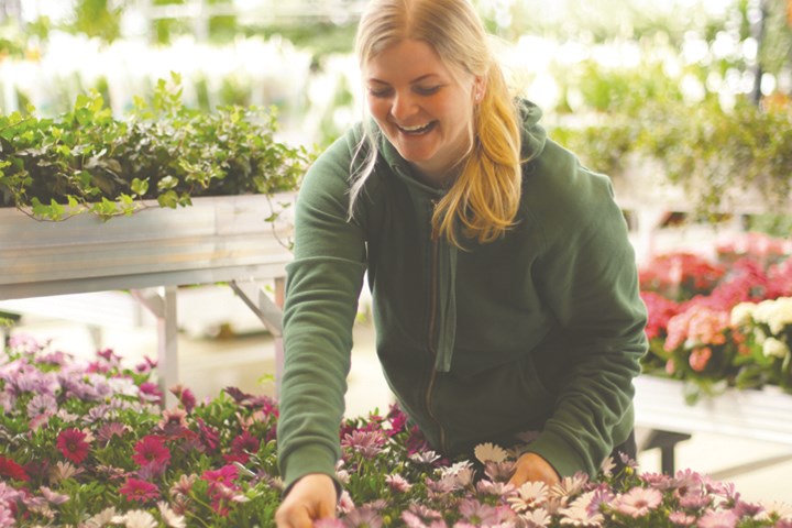 Vår gartner som ordner med planter