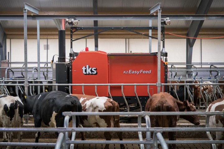 Easyfeed i fjøs med kyr