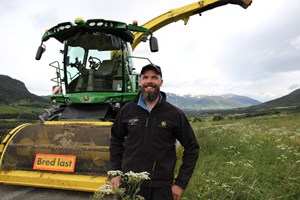 Slåttekar i stor, grønn hjort