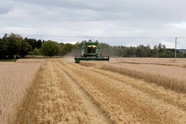 Traktor med tresker