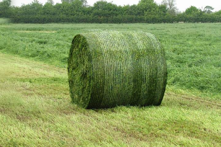 Rundball med nett på jorde