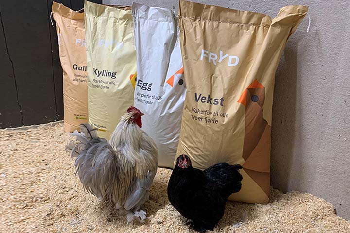 Fryd fôr til hobbyhøns