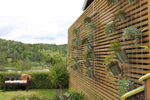 Slik planter du i potter