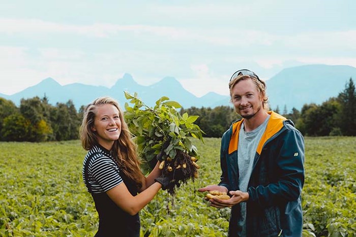 Felleskjøpet satser på nye bønder