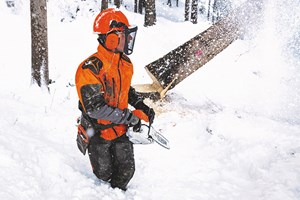 Hvorfor skal jeg hogge ved om vinteren?