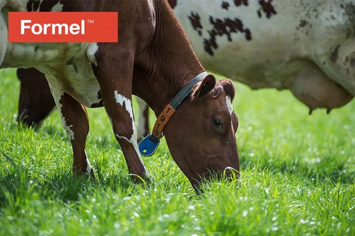 Formel - kraftfôr til alle drøvtyggere