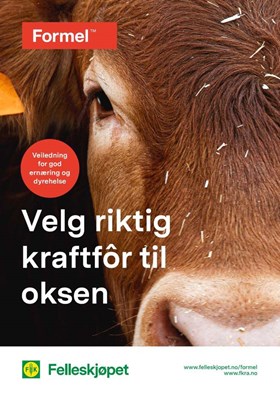 Velg riktig kraftfôr til oksen