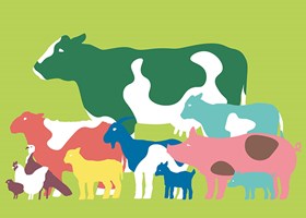 Trenger du tilskuddsfôr