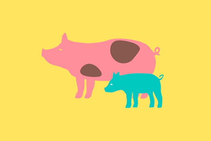 Pluss tilskuddsfôr svin