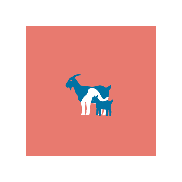 Pluss tilskuddsfôr geit