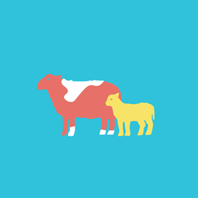 Pluss tilskuddsfôr til sau og lam