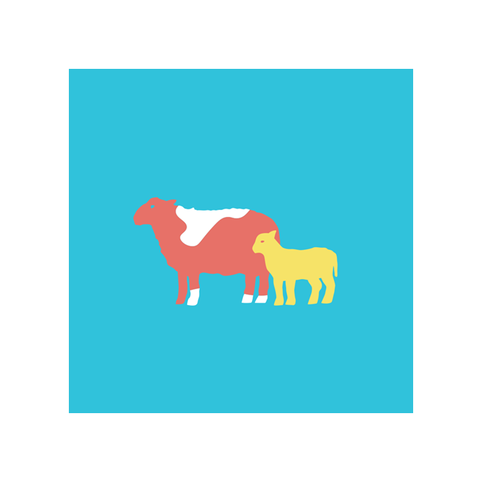 Pluss tilskuddsfôr sau